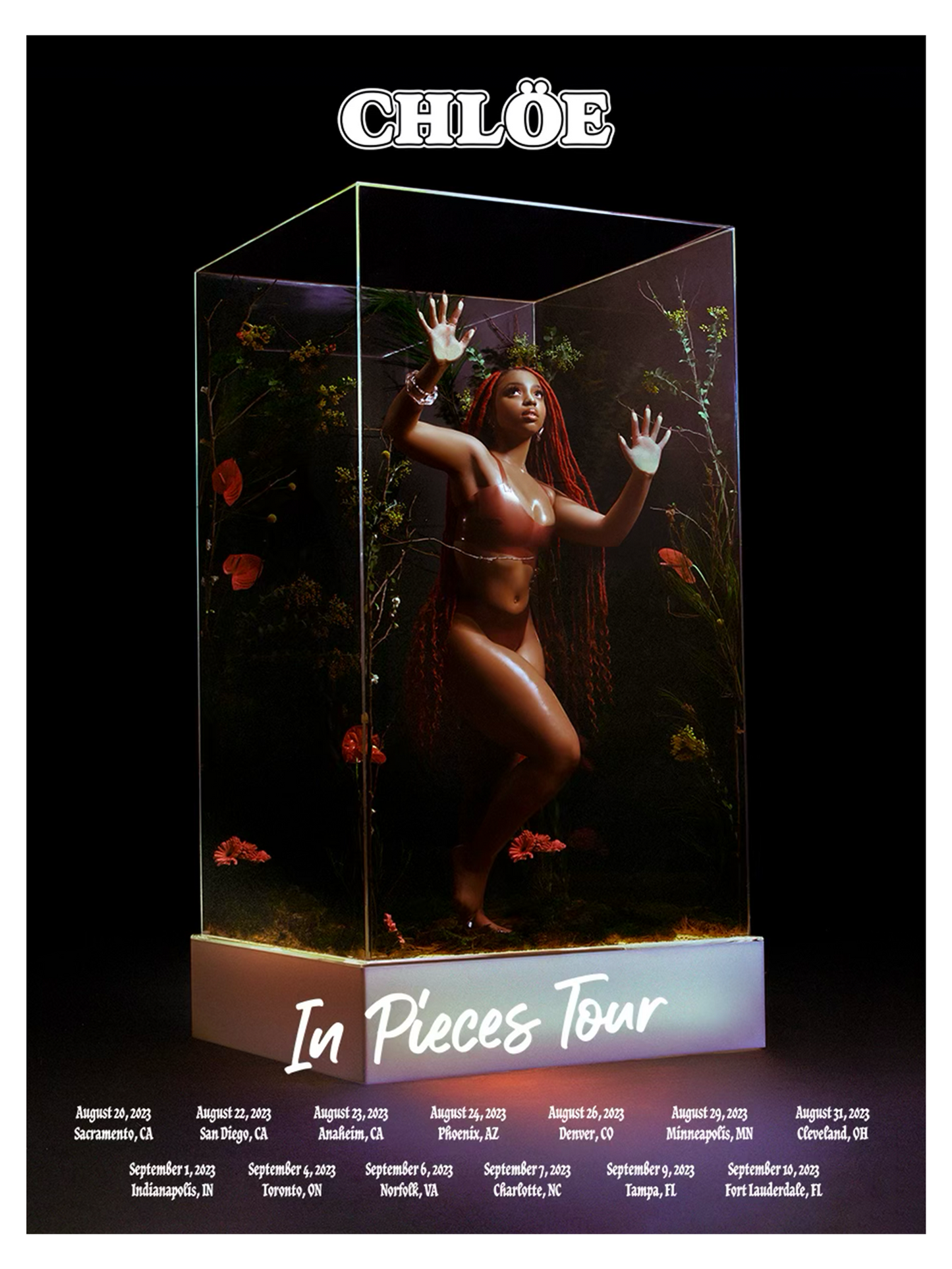 In Pieces Tour Poster